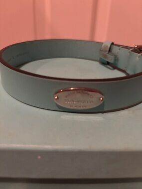 Tiffany & Co. Light Blue Leather Dog Collar with Metal Logo Plaque